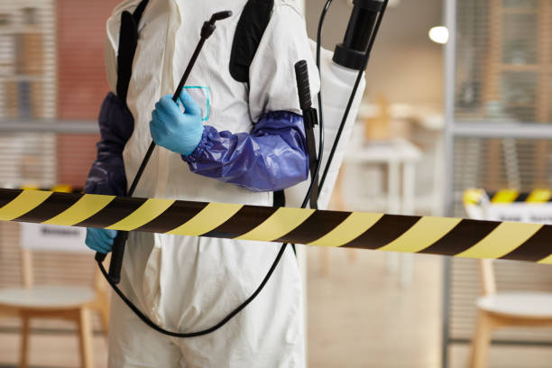 Professional Sewage Cleanup technician working in Elmwood Park, IL
